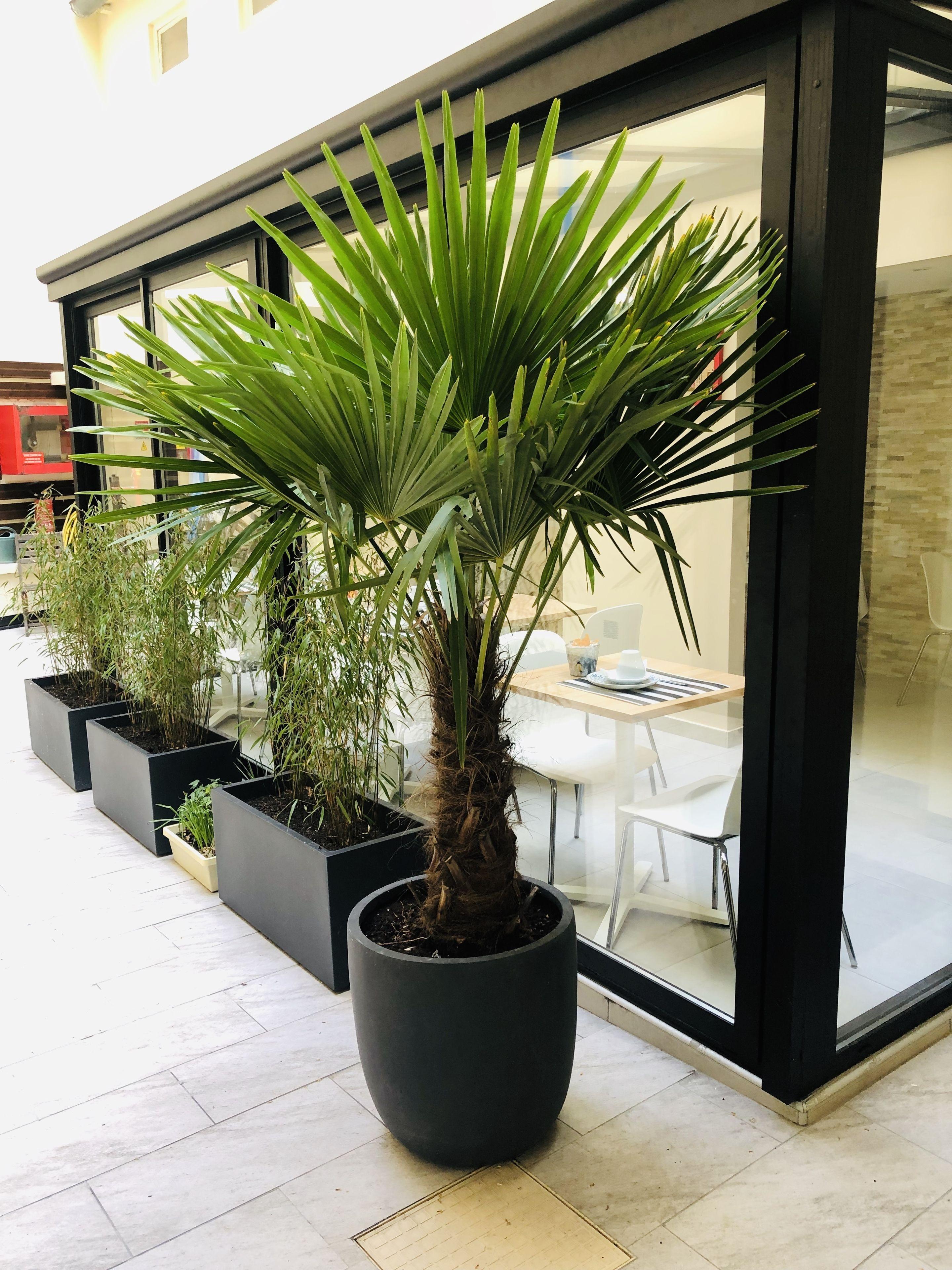 Marmotel Etoile Hotel 3*